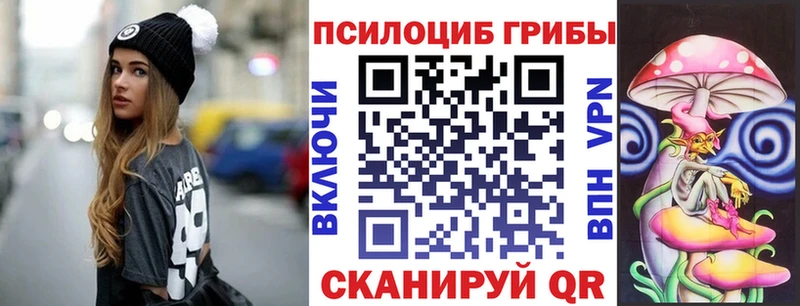наркошоп  Саянск  мориарти состав  Галлюциногенные грибы Psilocybe 