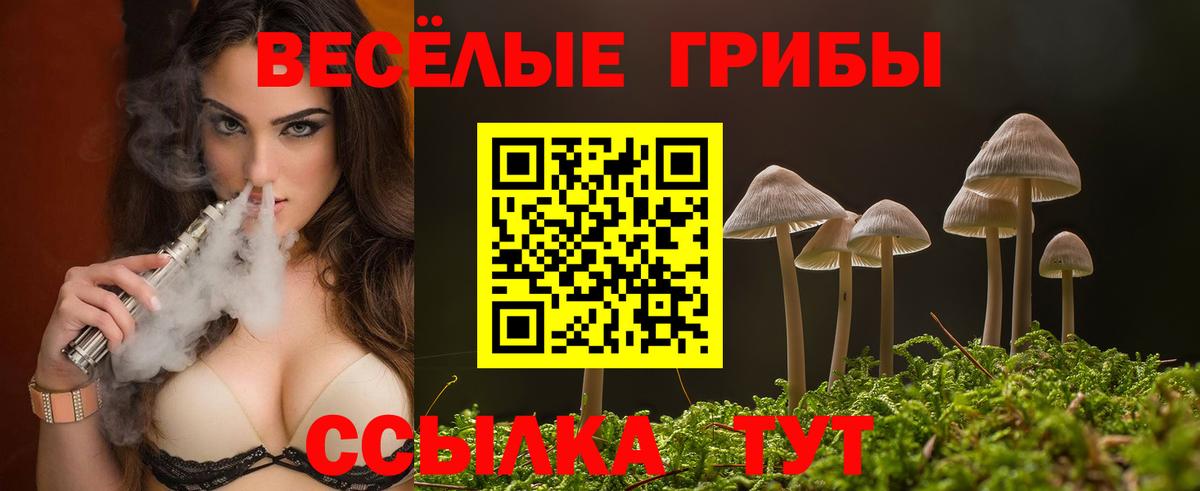 Псилоцибиновые грибы мицелий  Вход с VPN  Саянск 